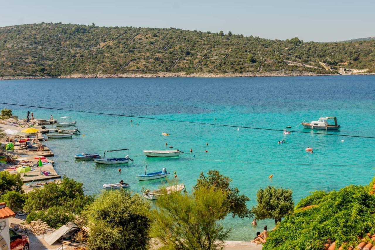 Villa Dreamer روغوزنيكا المظهر الخارجي الصورة